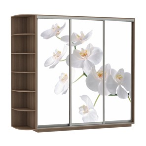 Шкаф трехдверный Экспресс со стеллажом, 2100х600х2200, Орхидея белая/шимо темный в Туле