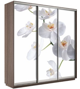 Шкаф 3-дверный Экспресс 2100х600х2200, Орхидея белая/шимо темный в Туле
