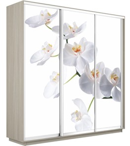 Шкаф 3-створчатый Экспресс 2400х600х2200, Орхидея белая/шимо светлый в Туле