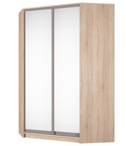 Угловой шкаф Аларти (YA-230х1400(602) (4) Вар. 3; двери D5+D5), с зеркалом в Туле