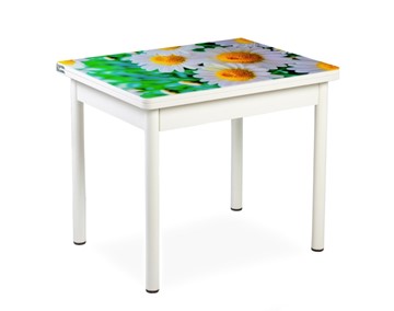 Кухонный пристенный стол СПА-01 СТФ, белый/фотопечать ромашки/опоры прямые белые в Туле
