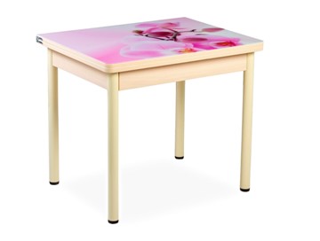 Кухонный пристенный стол СПА-02 СТФ, молочный дуб/фотопечать орхидея/опоры бежевый в Туле