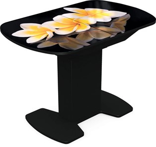 Кухонный раскладной стол Корсика исп. 1 Фотопечать (Цветы №11) 1100(1415)*700 в Туле