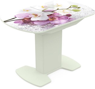 Кухонный раздвижной стол Корсика исп. 1 Фотопечать (Цветы №44) 1100(1415)*700 в Туле