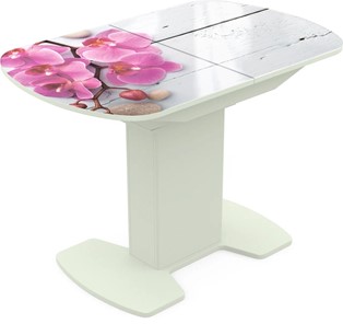 Кухонный раскладной стол Корсика исп. 2 Фотопечать (Цветы №24) 1200(1515)*800 в Туле