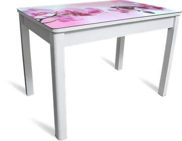 Кухонный раскладной стол Айсберг мини СТФ, белое лдсп/орхидея/40 прямые массив белые в Туле