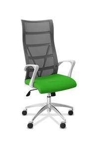Кресло для руководителя Топ X белый каркас, сетка/ткань TW / серая/салатовая в Туле