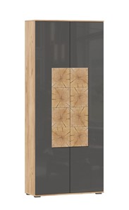 Шкаф двухстворчатый Фиджи с декоративными накладками 659.310, Дуб Золотой/Антрацит в Туле