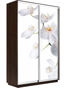 Шкаф 2-х дверный Экспресс 1400x600x2400, Орхидея белая/венге в Туле