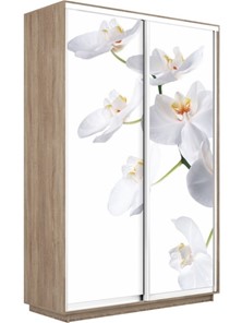 Шкаф 2-х створчатый Экспресс 1600x450x2400, Орхидея белая/дуб сонома в Туле