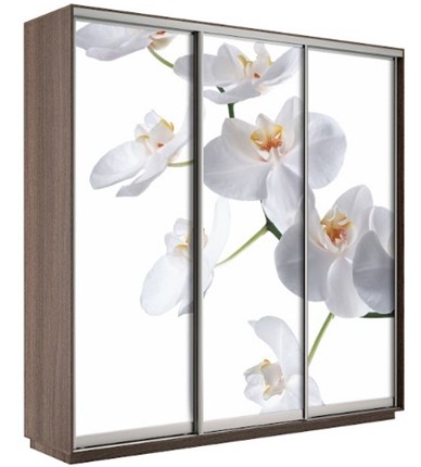 Шкаф 3-дверный Экспресс 2100х600х2200, Орхидея белая/шимо темный в Туле - изображение