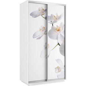 Шкаф Хит 1200x600x2200, белая орхидея, белый снег в Туле