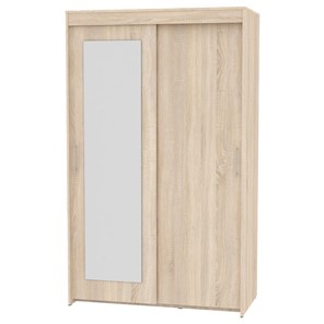 Шкаф 2-дверный Топ (T-1-230х120х45 (1)-М; Вар.1), с зеркалом в Туле