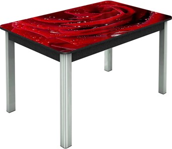 Раздвижной стол Гамбург исп. Мини, ноги метал. крашеные №23, Фотопечать (Цветы №39) в Туле