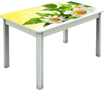 Раздвижной стол Гамбург исп.2 ноги метал. крашеные №23, Фотопечать (Цветы №3) в Туле