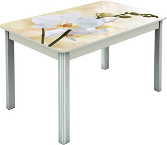 Кухонный стол раздвижной Гамбург исп.2 ноги метал. крашеные №23, Фотопечать (Цветы №5) в Туле