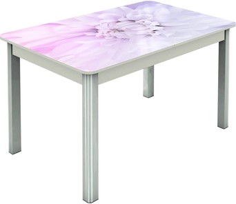 Обеденный раздвижной стол Гамбург исп.2 ноги метал. крашеные №23, Фотопечать (Цветы №54) в Туле
