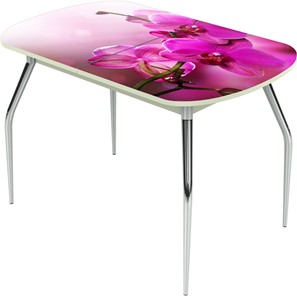 Раздвижной стол Ривьера исп.1 ноги метал. крашеные №24 Фотопечать (Цветы №16) в Туле