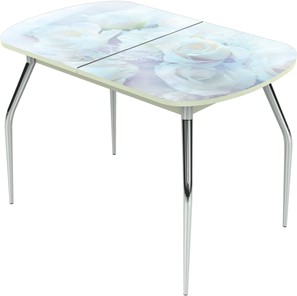 Кухонный раскладной стол Ривьера исп.1 ноги метал. крашеные №24 Фотопечать (Цветы №36) в Туле