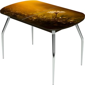 Кухонный раздвижной стол Ривьера исп.2 ноги метал. крашеные №24 Фотопечать (Цветы №43) в Туле