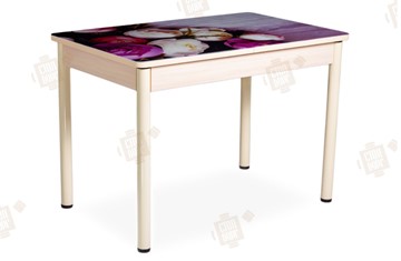 Кухонный стол раскладной Айсберг-01 СТФ, дуб/фотопечать пионы/ноги крашеные в Туле