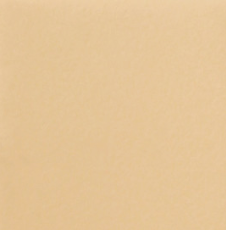 Стул обеденный Роджер Эконом С102-2(стандартная покраска) в Туле - изображение 9