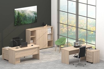 Офисный комплект мебели Twin в Туле - предосмотр 4