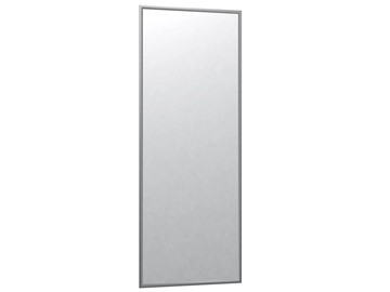 Настенное зеркало Сельетта-6 матовое серебро (1100х400х9) в Туле