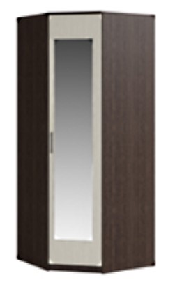 Распашной угловой шкаф Светлана, с зеркалом, венге/дуб молочный в Туле - изображение