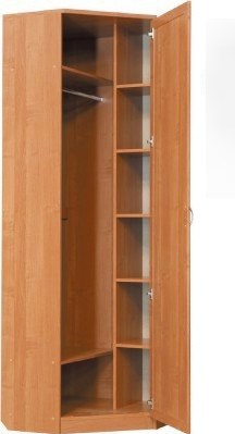 Шкаф распашной 402 угловой со штангой, цвет Дуб Сонома в Туле - изображение 1