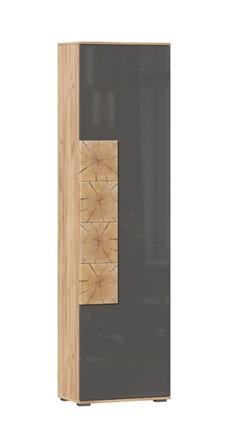 Шкаф одностворчатый Фиджи с декоративными накладками 659.300, Дуб Золотой/Антрацит в Туле - изображение