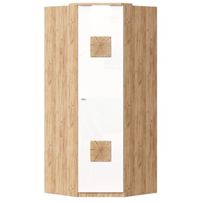 Шкаф угловой 45 с декоративной накладкой Фиджи, 659.248, белый в Туле - предосмотр