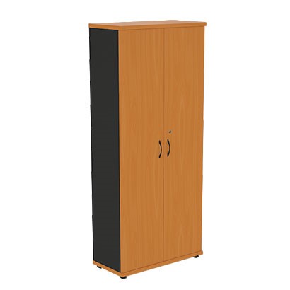 Шкаф для одежды Моно-Люкс R5S05 в Туле - изображение