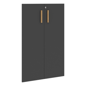 Двери для шкафов средние с замком FORTA Черный Графит FMD 40-2(Z) (794х18х1164) в Туле