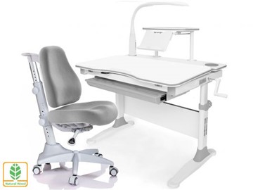 Растущая парта + стул Mealux EVO Evo-30 G (арт. Evo-30 G + Y-528 G) (дерево)/(стол+полка+кресло+чехол+лампа)/ белая столешница (дерево), цвет пластика серый в Туле